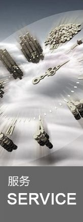 ����(w��)SERVICE