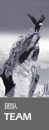�F(tu��n)�(du��)TEAM